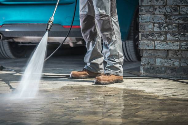 Best Animal Enclosure Cleaning  in Lawton, MI